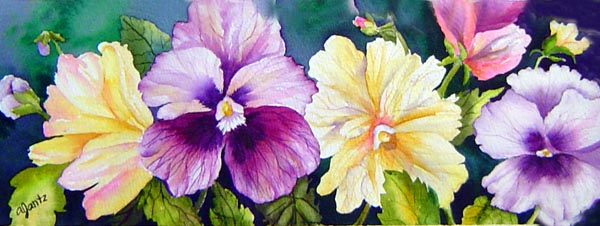 Pansies